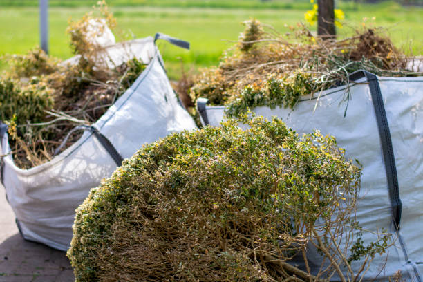 Best Yard Cleanup Services  in New Castle, CO